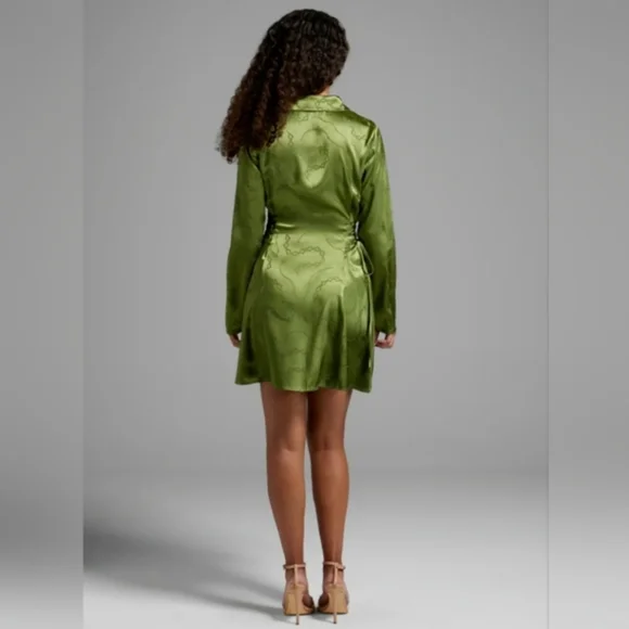 NWT Dangerfield Green Chained to Fate Satin Dress - 14 US (18 AUS) - Picture 2 of 5